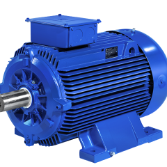 b3 induction motor