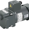 Wanshsin AC Compact Ear Gear Motor