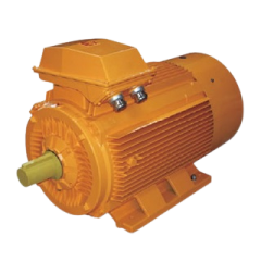 explosion proof induction motor