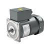 Wanshsin Compact AC Gear Motor